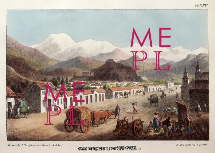 : Travels into Chile, over the Andes : Travels into Chile, over the Andes