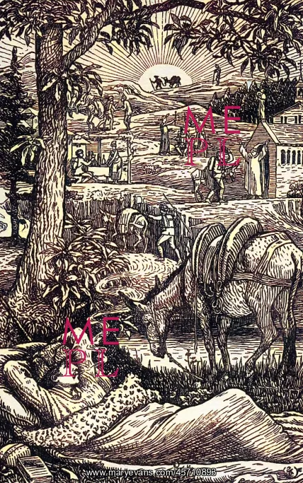 : TRAVELS WITH A DONKEY : TRAVELS WITH A DONKEY