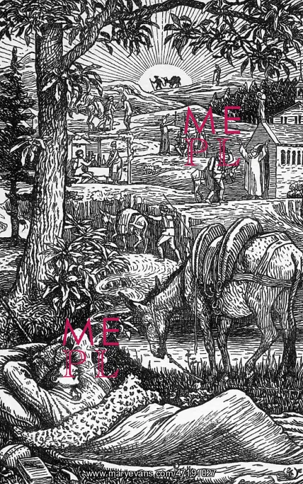 : TRAVELS WITH A DONKEY : TRAVELS WITH A DONKEY