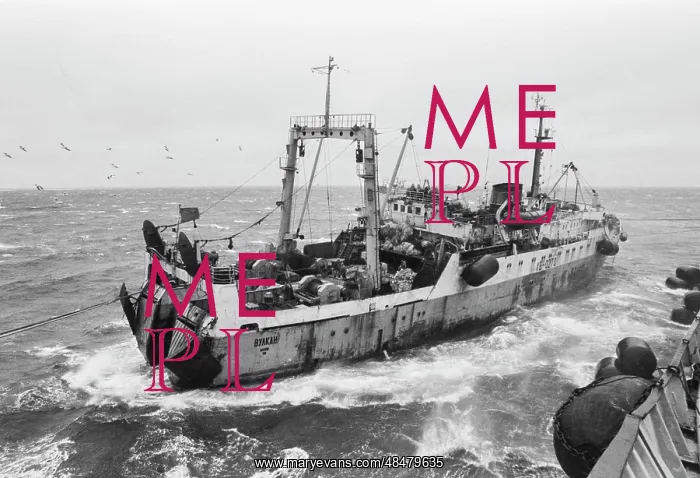 : Trawler of Dalryba Fishing Complex : Trawler of Dalryba Fishing Complex