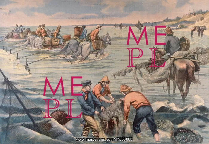  : TRAWLING WITH HORSES