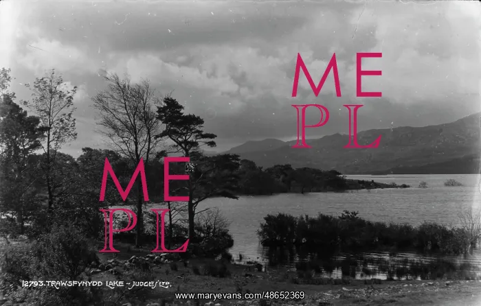 : Trawsfynydd Lake : Trawsfynydd Lake