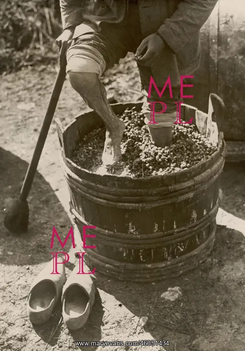 : Treading grapes, 1933 : Treading grapes, 1933