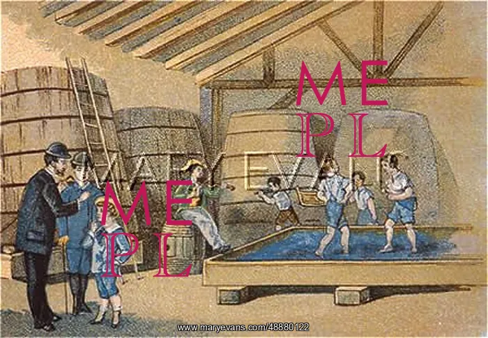  : TREADING GRAPES, MACON
