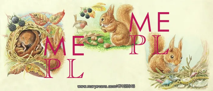 : The Treasure Hunt - squirrel and mouse : The Treasure Hunt - squirrel and mouse