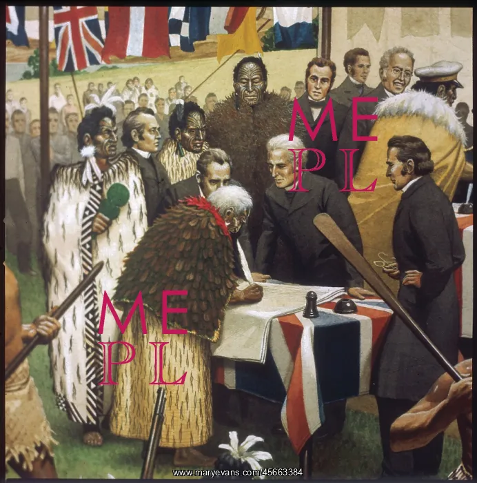 : TREATY OF WAITANGI : TREATY OF WAITANGI