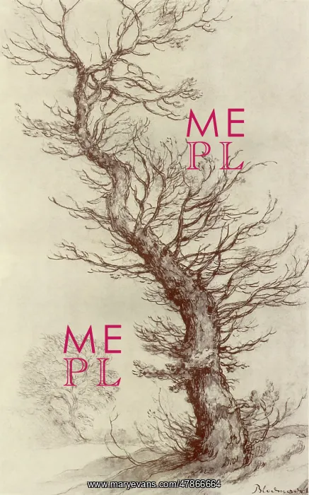 : Tree