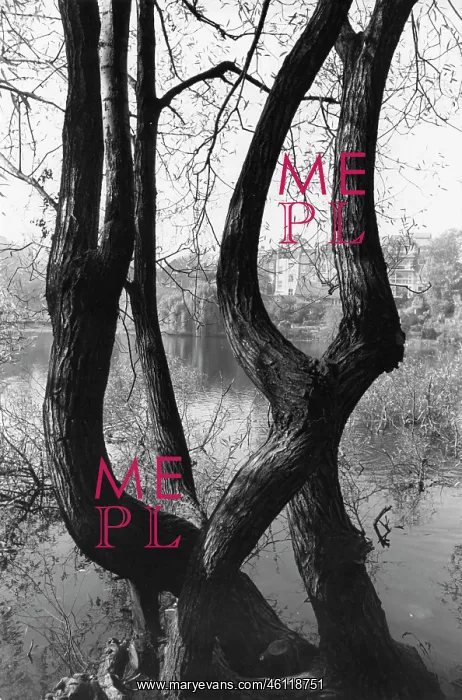 : Tree branches by pond suggest human forms : Tree branches by pond suggest human forms