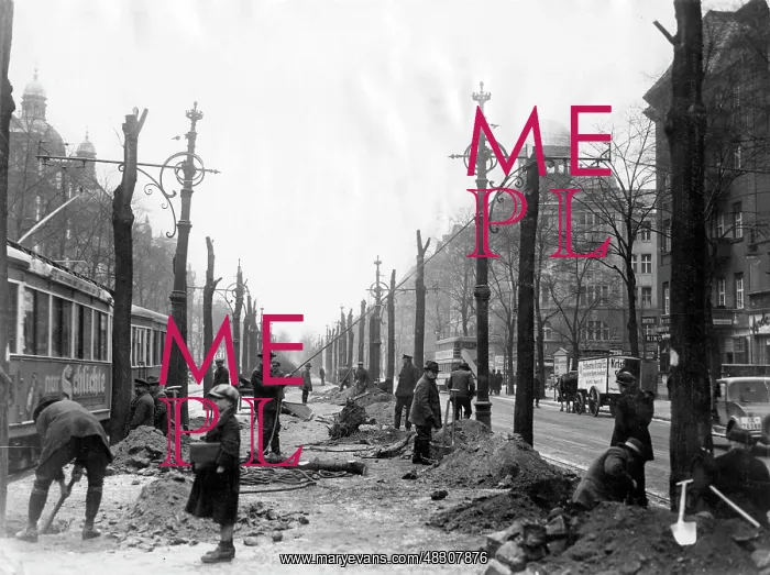 : Tree clearing on the Kurfuerstendamm in Berlin, 1931 : Tree clearing on the Kurfuerstendamm in Berlin, 1931