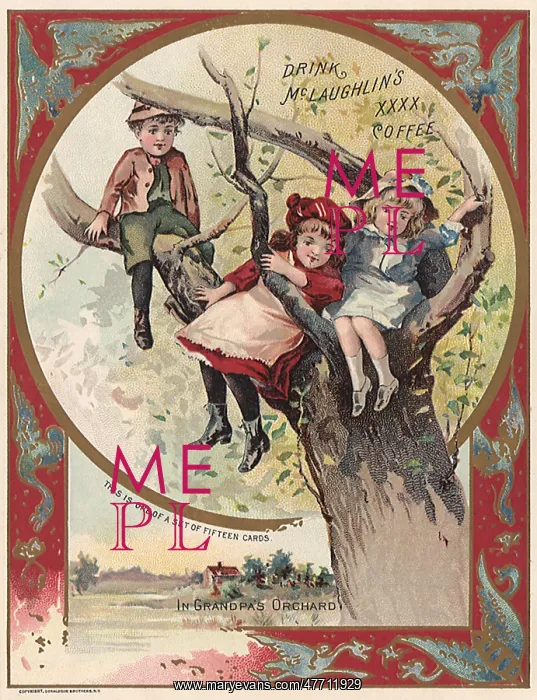  : Tree Climbers