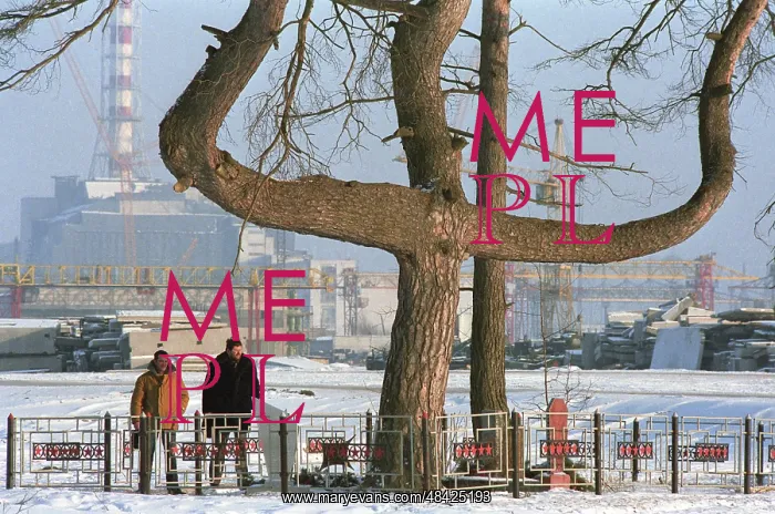 : Tree contaminated by radiation, 1988 : Tree contaminated by radiation, 1988