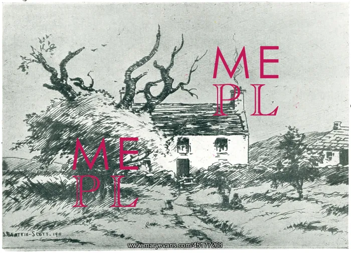 : Tree By A Cottage : Tree By A Cottage