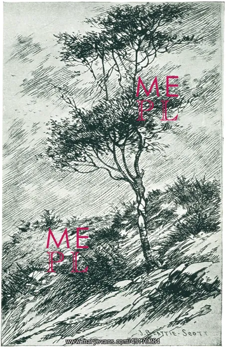 : Tree in a Gusty Wind : Tree in a Gusty Wind