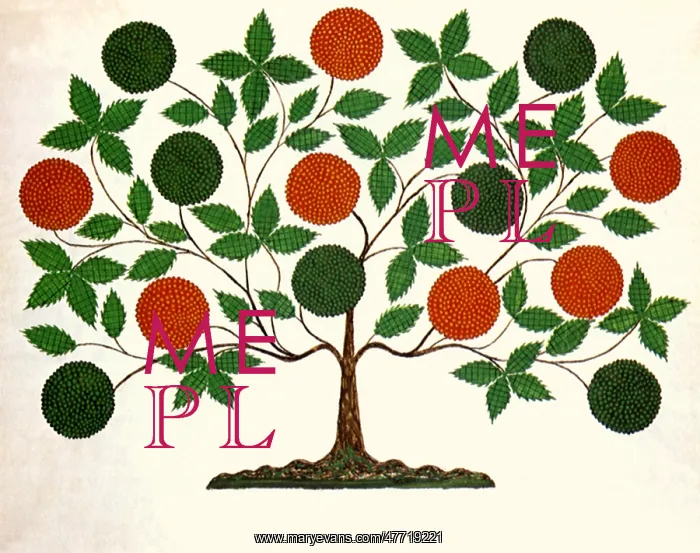  : The Tree of Life