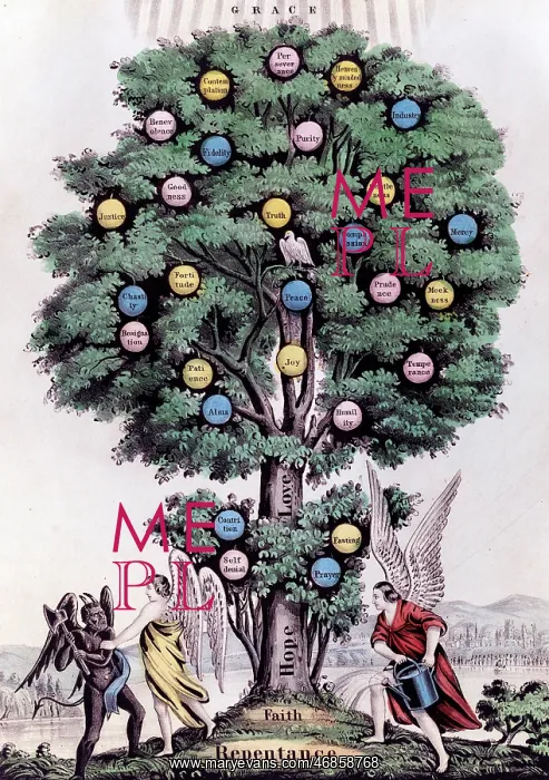 : The Tree of Life. The Christian : The Tree of Life. The Christian