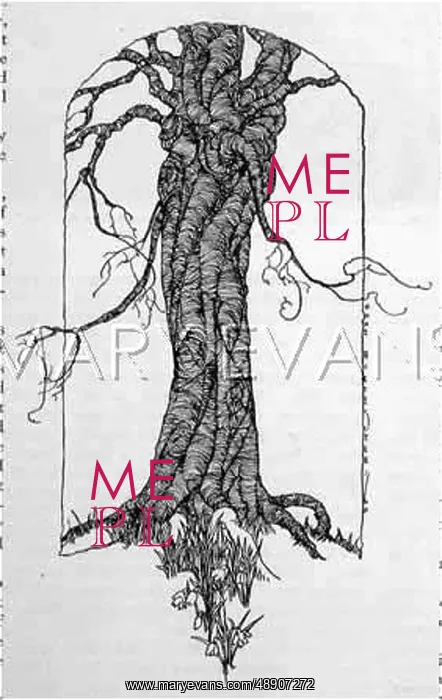 : TREE AND SNOWDROPS : TREE AND SNOWDROPS