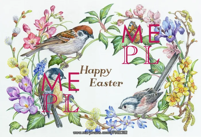 : Tree sparrow, coal tit and longtailed tit : Tree sparrow, coal tit and longtailed tit