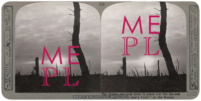 : Tree stumps in no man's land at sunset, Somme, WW1 : Tree stumps in no man's land at sunset, Somme, WW1
