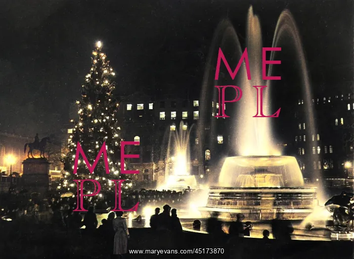 : TREE IN TRAFALGAR SQUARE : TREE IN TRAFALGAR SQUARE