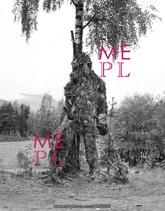 : TREE TROLL : TREE TROLL