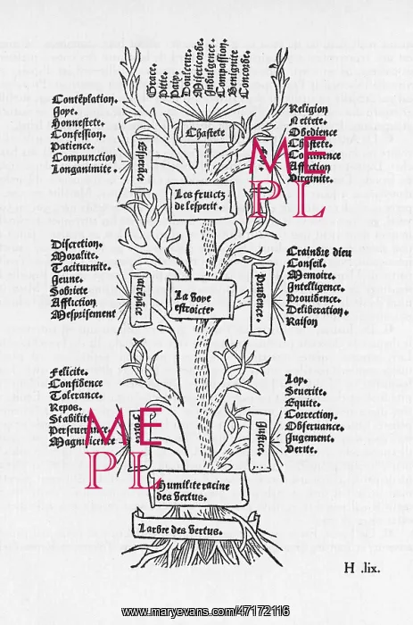 : THE TREE OF VICES : THE TREE OF VICES