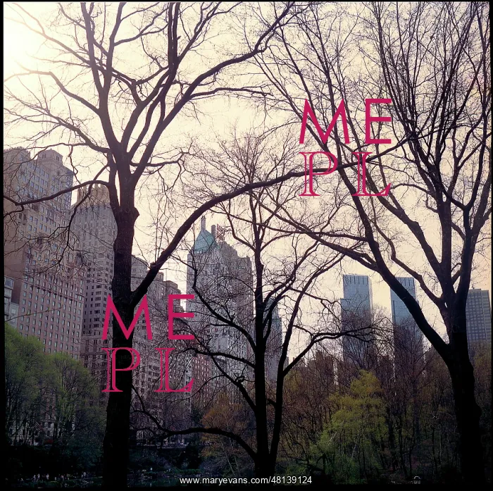  : Trees Central Park plus buildings New York