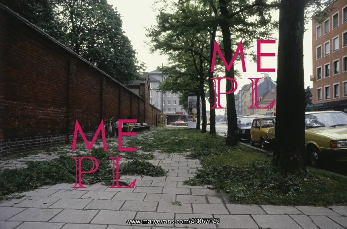 : Trees after hail in Munich, 1984 : Trees after hail in Munich, 1984
