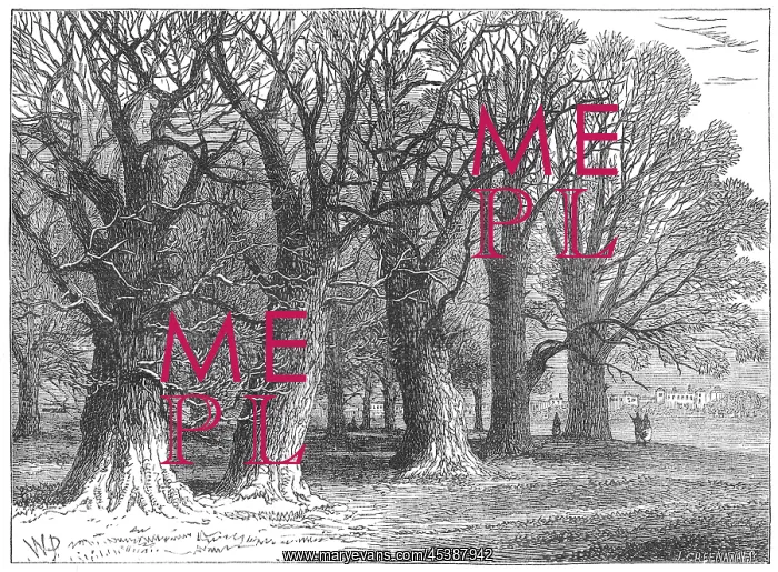  : Trees in Hyde Park, London