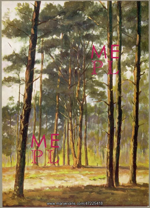  : TREES / PINE