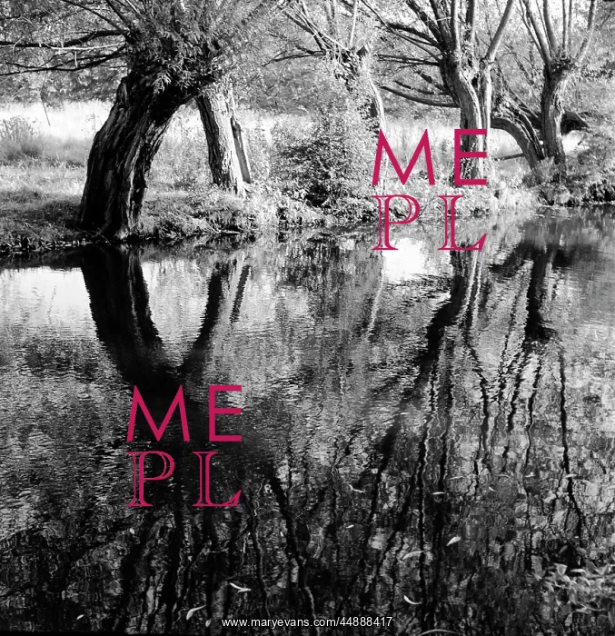 : Trees and their reflections : Trees and their reflections
