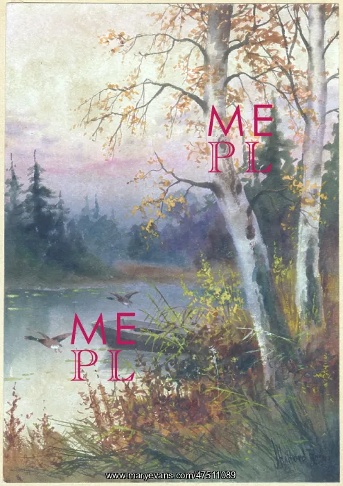 : Trees by a river with boat and mallard ducks : Trees by a river with boat and mallard ducks