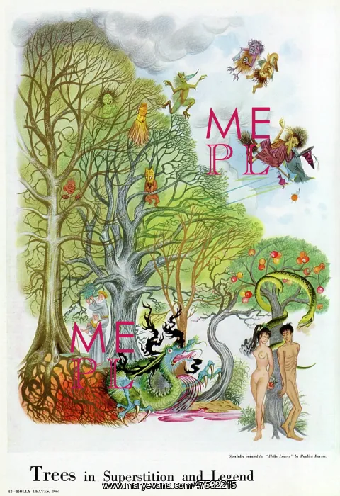 : Trees in Superstition and Legend by Pauline Baynes : Trees in Superstition and Legend by Pauline Baynes