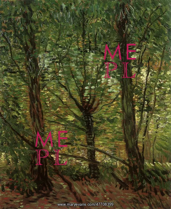 : Trees and Undergrowth, by Van Gogh : Trees and Undergrowth, by Van Gogh