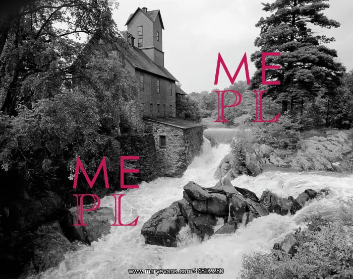 : Trees Waterfall & Stream Surrounding : Trees Waterfall & Stream Surrounding