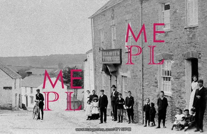  : Tregony early 1900s