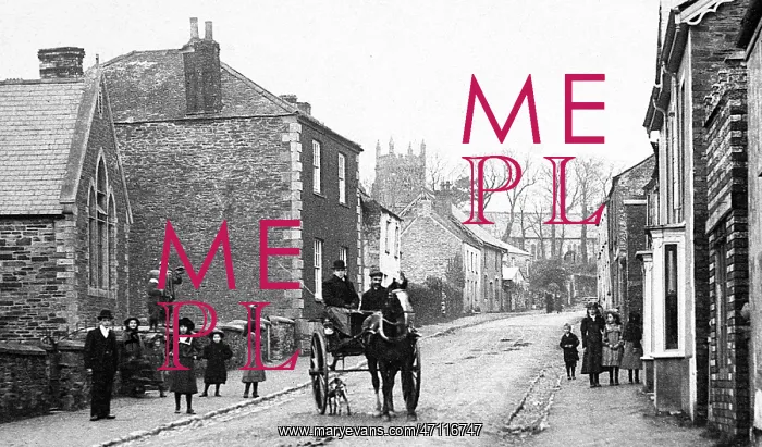  : Tregony early 1900s