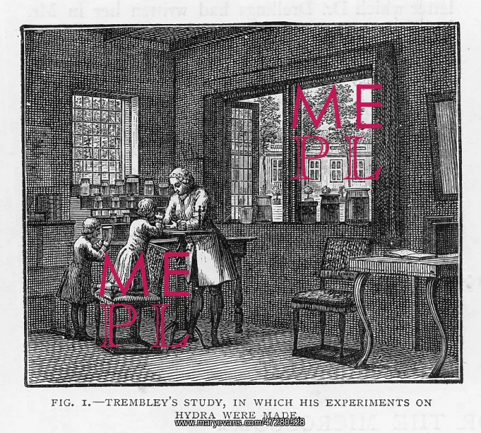 : TREMBLEY IN HIS STUDY : TREMBLEY IN HIS STUDY
