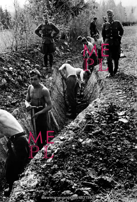: Trench - Eastern Front, 1942 : Trench - Eastern Front, 1942