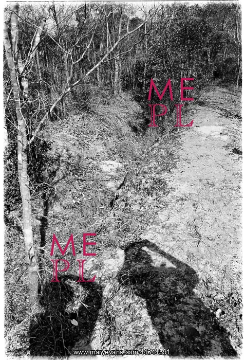 : Trenches marking the embattlements surrounding Cuito : Trenches marking the embattlements surrounding Cuito