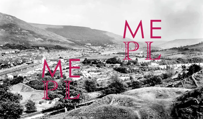  : Treorchy, Rhondda Valley looking south c1955