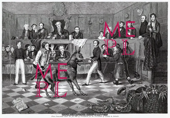 : Trial of Bill Burns, first conviction for cruelty to animals : Trial of Bill Burns, first conviction for cruelty to animals