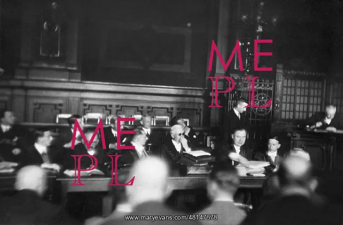 : The trial against Hugo Stinnes Jr. 1929 : The trial against Hugo Stinnes Jr. 1929