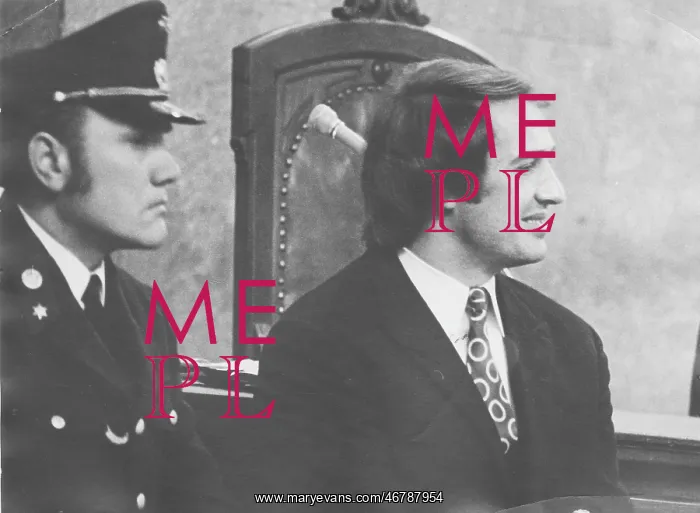 : Trial against Karl Pekarek for murder : Trial against Karl Pekarek for murder