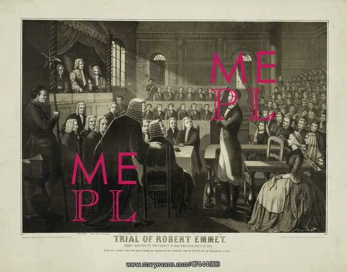 : Trial of Robert Emmet, Emmet replying to the verdict of high : Trial of Robert Emmet, Emmet replying to the verdict of high