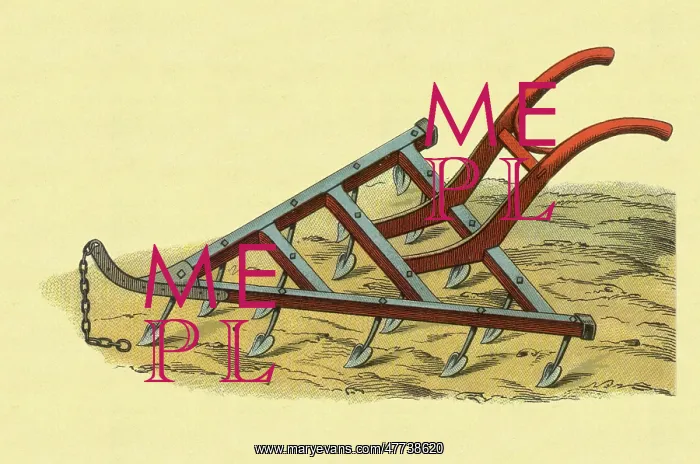  : Triangular Plough