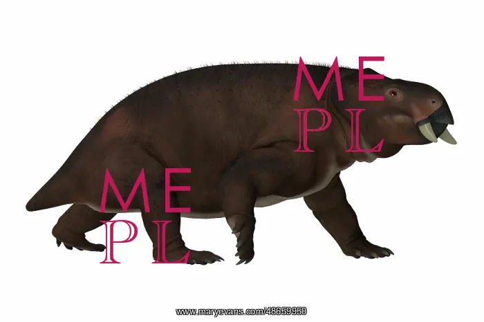 : A Triassic period Plaerias, side view on white background : A Triassic period Plaerias, side view on white background