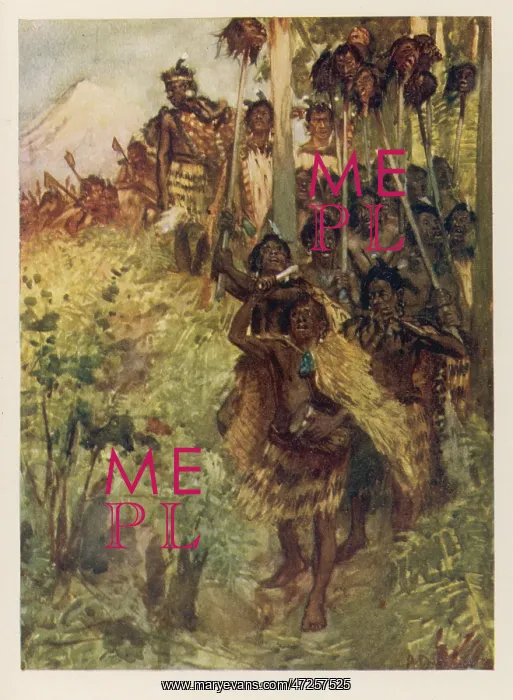  : TRIBAL WARS OF MAORI