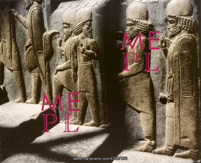 : Tribute Bearers, Persepolis, Iran : Tribute Bearers, Persepolis, Iran