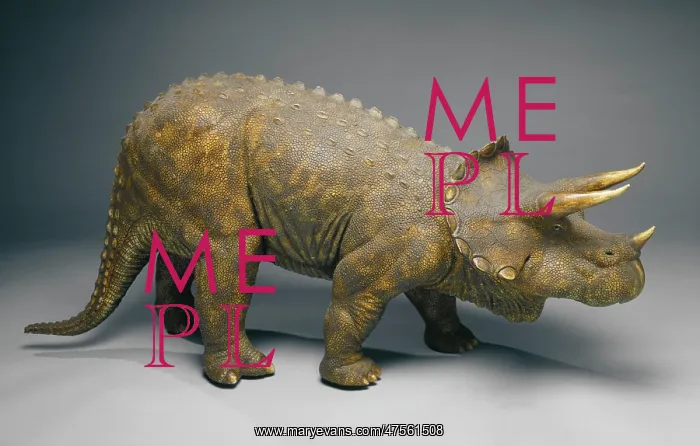 : Triceratops : Triceratops