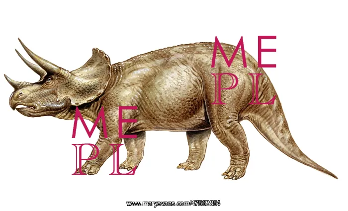 : Triceratops : Triceratops